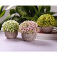 thumbnail image 5 of Planta de césped artificial realista en maceta, suculentas realistas para escritorio, alféizar de ventana y decoración de baño, acento de bonsái, regalo perfecto para bodas, cumpleaños y, 5 of 5