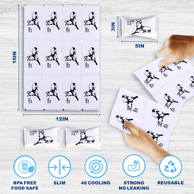 Vendita Online Lumache Fresche - La Lumaca Va - Allevamento A Cingoli - Foto 10