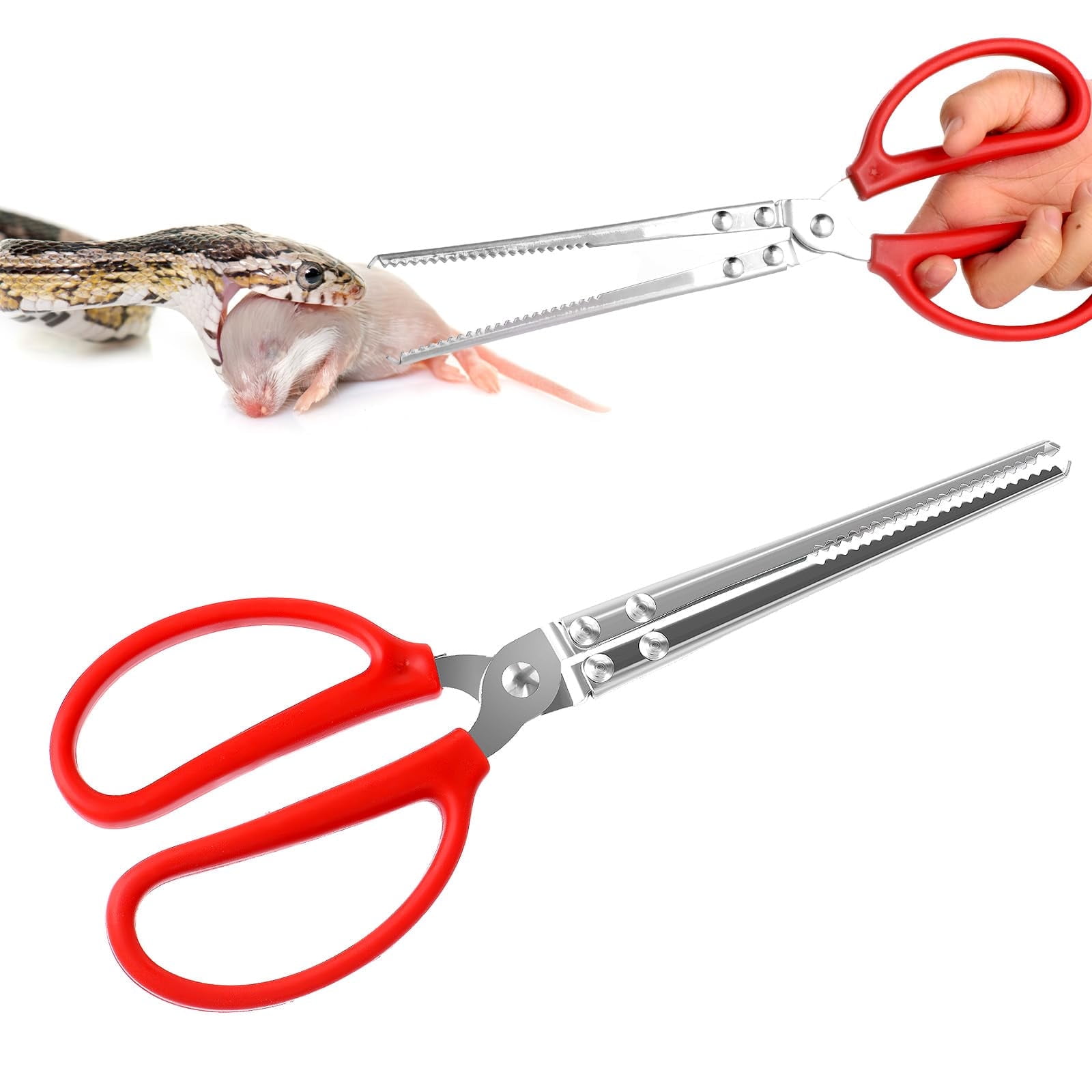 14.8" Snake Feeding Tongs, Straight Mouth Reptile Feeding Tongs, Heavy Duty Snake Feeding Tongs for Corn Ball Python Accessories, Bearded Dragon Reptile Tanks Terrarium Accessories Supplies