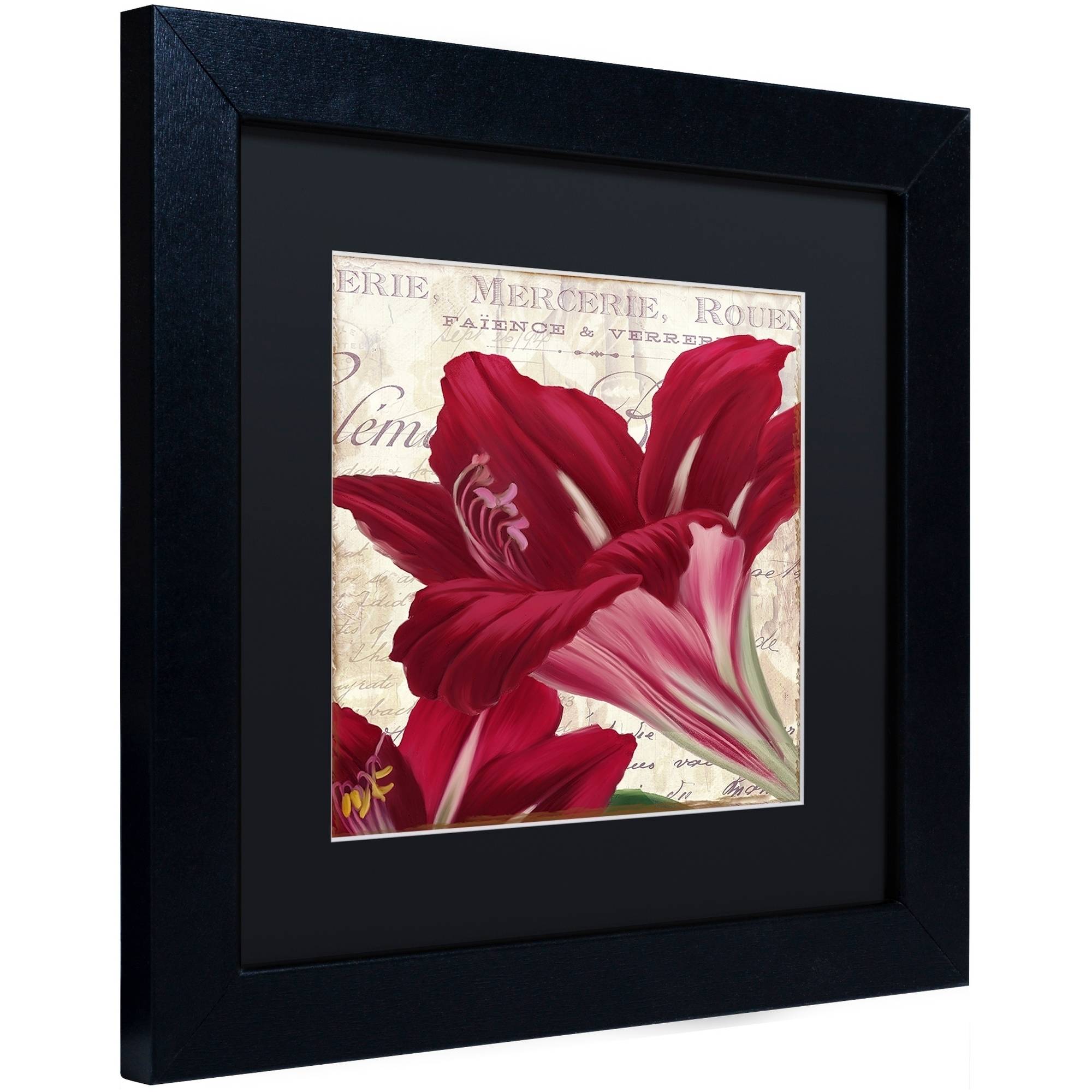 Trademark Fine Art "Amaryllis " Canvas Art by Color Bakery Black Matte, Black Frame