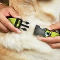 thumbnail image 2 of Disney Pet Collar, Dog Collar Plastic Buckle, Monsters Inc Mike Icons Greens Black White, 9.5 to 13 Inches 1.0 Inch Wide, 2 of 6