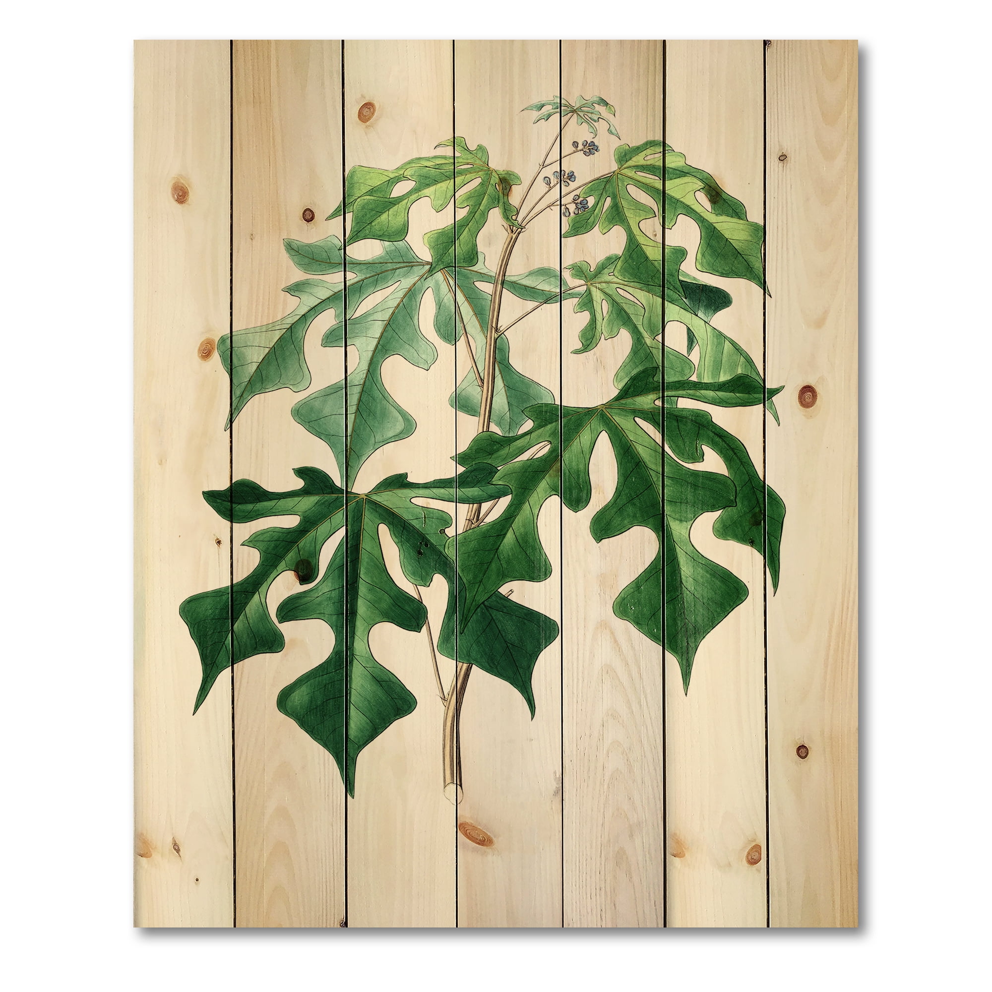 Designart 'Ancient Green Leaves Plants II' Traditional Print on Natural Pine Wood