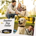 thumbnail image 3 of Collar de cuero resistente para perros pequeños, medianos, grandes y extragrandes., 3 of 5