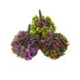 thumbnail image 4 of Lefu 1:100 Scale 30pcs Flower Trees Model Train Layout Garden Park Scenery Landscape, 4 of 9
