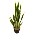 thumbnail image 5 of Northlight Real Touch™️ Artificial Potted Striped Leaf Dracaena Snake Plant - 29", 5 of 9