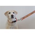 thumbnail image 1 of Heads Up for Tails HUFTCLH082 Much Loved Monkey Leash, Large, 1 of 1