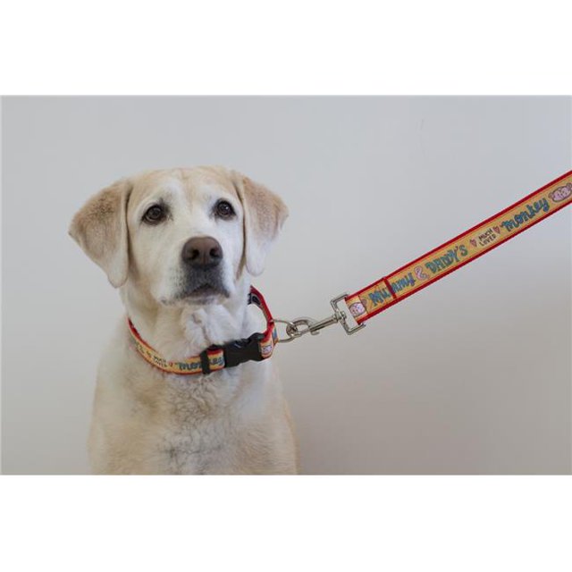 Heads Up for Tails HUFTCLH082 Much Loved Monkey Leash, Large
