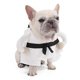 thumbnail image 2 of Martial Arts Dog Clothes Easy Wear 2 Leg Clothes Comfortable Costume For Halloween Parties And Festival Photography L, 2 of 5