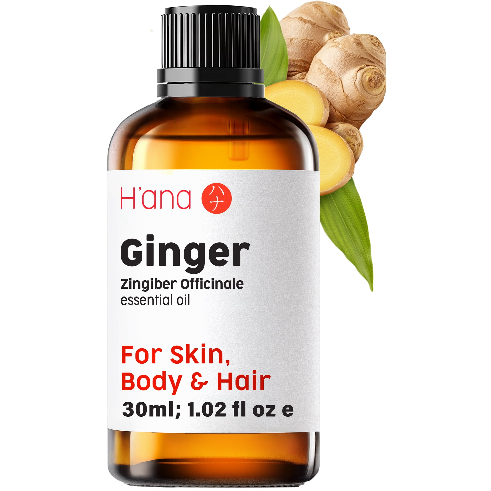 H'ana Ginger Essential Oil for Hair, Skin, Diffusers, Aromatherapy, and Massage - With a Spicy, Gingery Smell (1 Fl Oz)