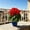 Red, variant on Miwamany 5 Heads Artificial Geranium Flower, Sun Resistant Lifelike Faux Silk Plant for Home Office Desk Decoration, Realistic Fake Floral Stem for Indoor Outdoor Vase Table Centerpiece (14.17in)