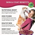 thumbnail image 5 of OLEWO Dehydrated Red Beets Skin & Coat Dog Food Toppers, Dog Vitamins, 1 lb, 5 of 9