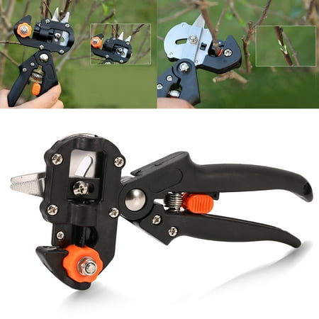 Garosa Outil de coupe de greffage de ciseaux de sécateur professionnel d'arbre  fruitier de jardin d'acier inoxydable, outils de greffage, outil d'élagage