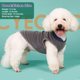 thumbnail image 3 of Jersey de forro polar elástico cyeollo para perros pequeños, 3 of 6