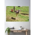 thumbnail image 2 of Diego Poster Wall Art, Modern Wall Decor For Living Room Bedroom, 16x24 UNFRAMED, 2 of 3