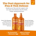 thumbnail image 5 of Zesty Paws Flea and Tick Shampoo for Dogs, 16 oz, 5 of 8