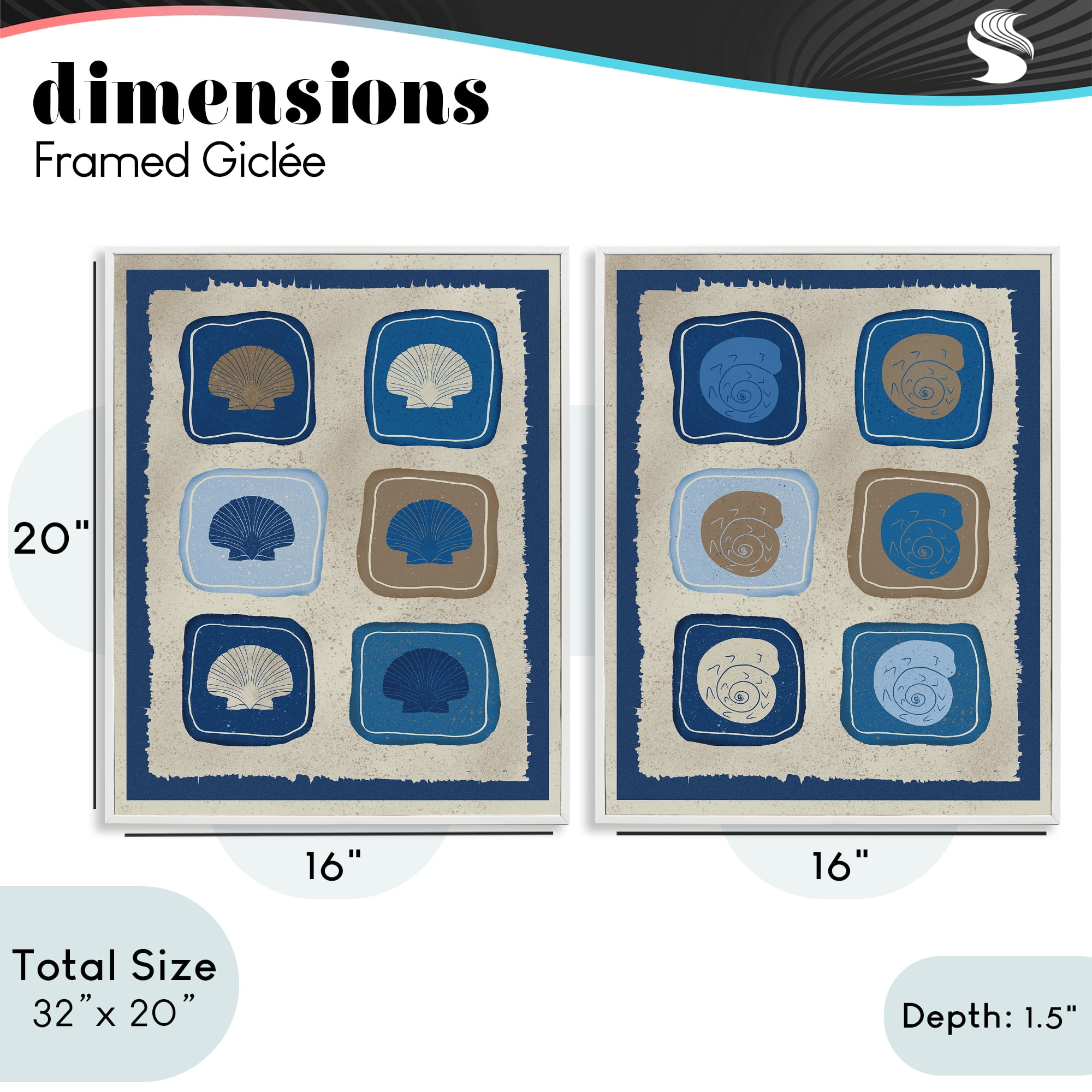 Stupell Industries Blue Blocked Seashells 2 Piece White Framed Giclee Art Set, design by Julia Frost
