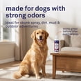 thumbnail image 6 of Petpost Skunk Odor Shampoo for Dogs & Cats - Natural Deodorizing Formula with Safflower Oil - Removes Skunk Spray, Eliminates Strong Odors - Gentle on Skin, 6 of 10