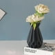 thumbnail image 4 of Jarrón, florero, florero de cerámica, florero de plástico, florero decorativo para sala de estar, florero hidropónico, decoración, botella de cerámica, 4 of 6