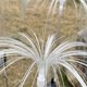 thumbnail image 5 of Luces solares de jardín TransparentJellyfish, destellos decorativos, luces de camino de estaca de luciérnaga para decoración de patio de camino de jardín, 5 of 5