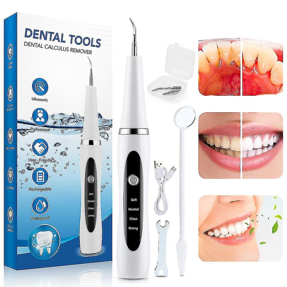 Electric Ultrasonic Dental Scaler Cleaning Tool Kit Tartar Plaque ...