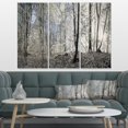 thumbnail image 3 of Design Art - Dark Morning in Forest Panorama, 3 of 3