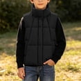 thumbnail image 2 of StSilkitty Puffer Vest for Boys Girls Full Zip up Sleeveless Stand Collar Jacket Coat Winter Warm Outerwear with Pockets, 2 of 9
