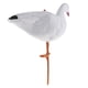 thumbnail image 1 of Señuelo de ganso de cuerpo completo señuelo de blanco decoración de espantapájaros de jardín de estanque Ganso en Baoblaze Ganso cazando señuelo, 1 of 8