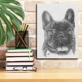 thumbnail image 6 of Epic Graffiti 'French Bulldog 3' by Barbara Keith, Canvas Wall Art, 12"x16", 6 of 8