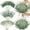 Baby Breath Flowers-50, variant on 50mixed Eucalyptgreenery Stems 3 Kinds Breath Flowers Artificial Bulk With Faux For Diy Bouquets Wedding Flarrangement Home Decor