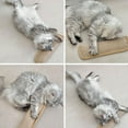 thumbnail image 5 of Interactive Catnip Chew Toy with 6000mg Organic Catnip, Soft Sisal Indoor Kitten Scratching & Kicker Toys, Teeth Cleaning Catnips Pillow for Kittens & Indoor Cats with Drives Bored Cats Crazy (1), 5 of 6