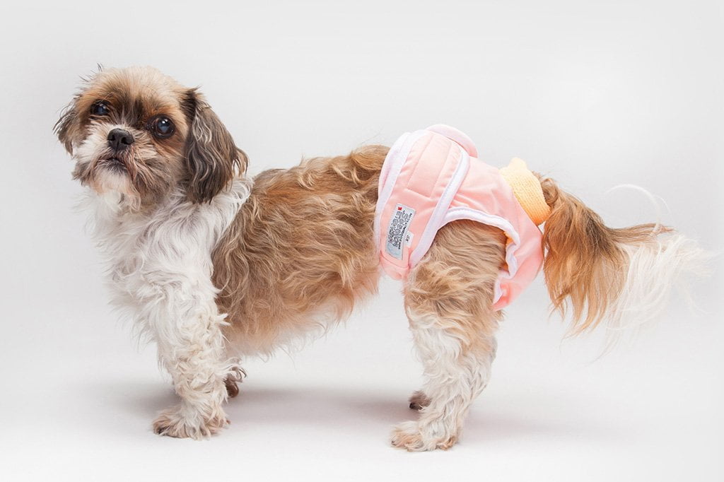 Washable Wonders™ Dog Diapers (Female 