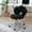 Black, variant on 360-degree rotating chair with strong legs / Ensure comfort in multiple environments