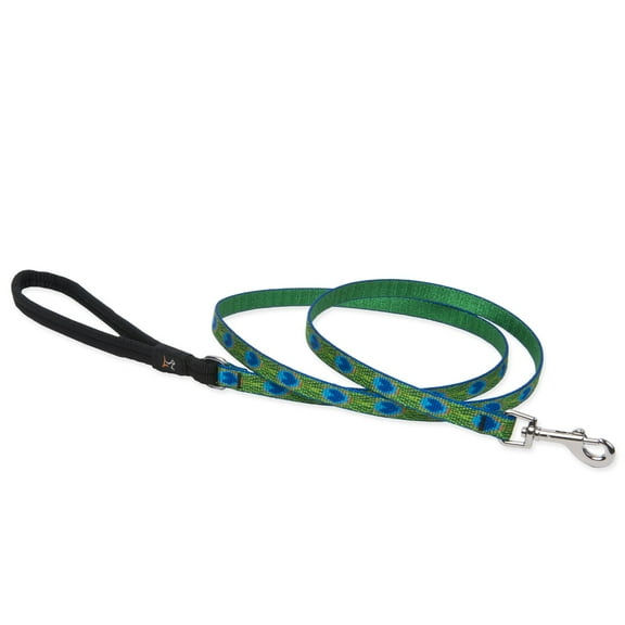1/2in Tail Feathers 4ft Dog Leash