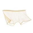 thumbnail image 2 of zeranth Men Sexy Transparent See-Through Mesh Shorts Panties Ultra-Thin Seamless Breathable Mid-rise Underpants, 2 of 7