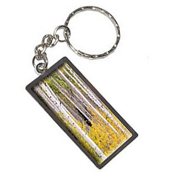 Colorado Co Aspens Keychain Key Chain Ring
