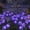 Purple, variant on Halloween Decorations Outdoor Solar Scary Eyeball Lights,1PACK 6LED Eyeball Swaying Firefly Lights,Waterproof Solar Halloween Path Lights for Yard/Garden/Lawn/Party Decor, Red