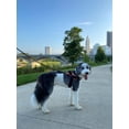 thumbnail image 5 of Chaleco reflectante para mascotas ShawnCo Essential sin tirones, 5 of 5
