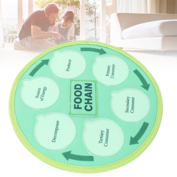 Food Chain Food Web Science Kits, Vivid Life Cycle Learning Toys for Preschool