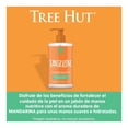 thumbnail image 4 of Jabon Liquido Para Manos Tree Hut Mandarina 325 ml, 4 of 4