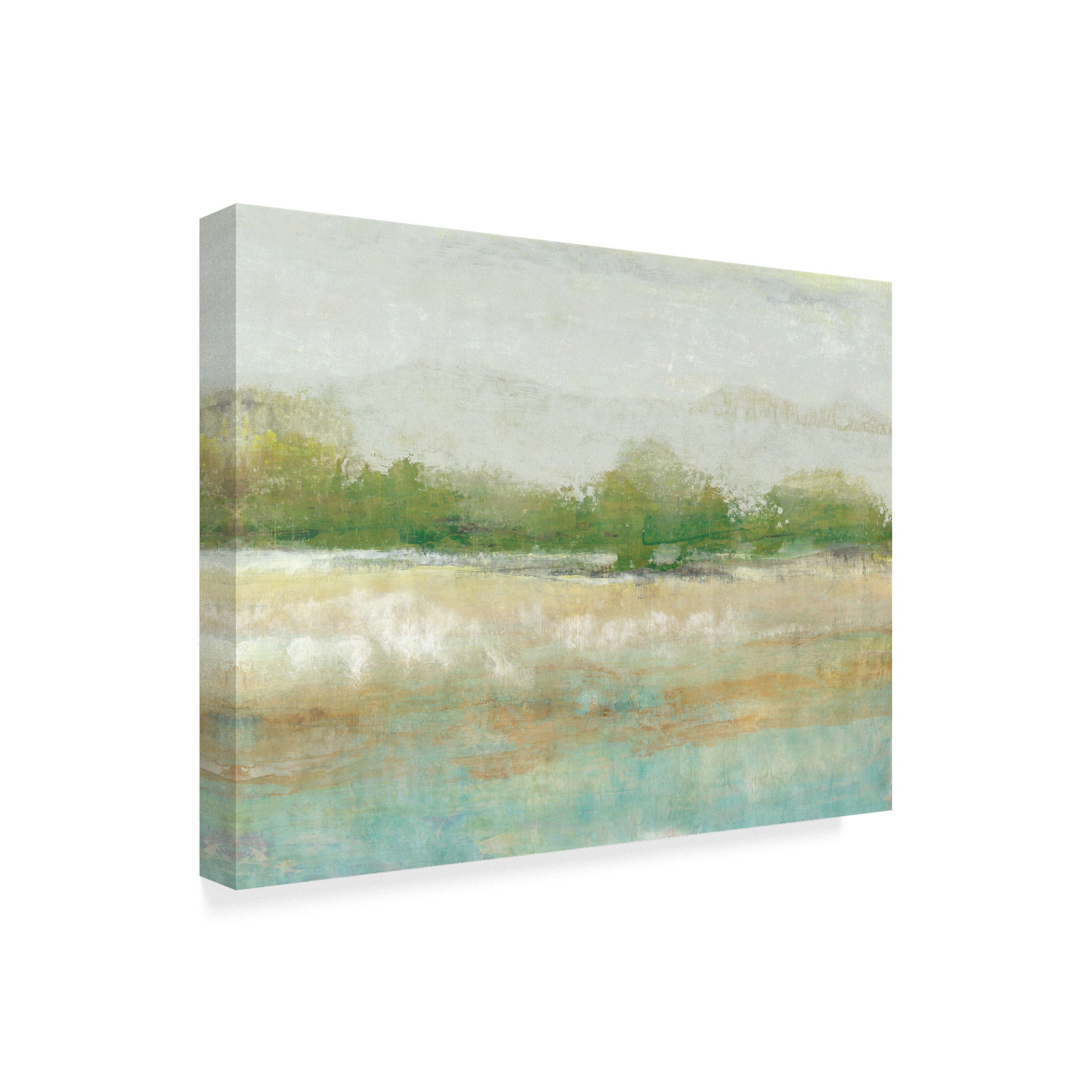 Trademark Fine Art 'Spring Tree line I' Canvas Art by Tim OToole
