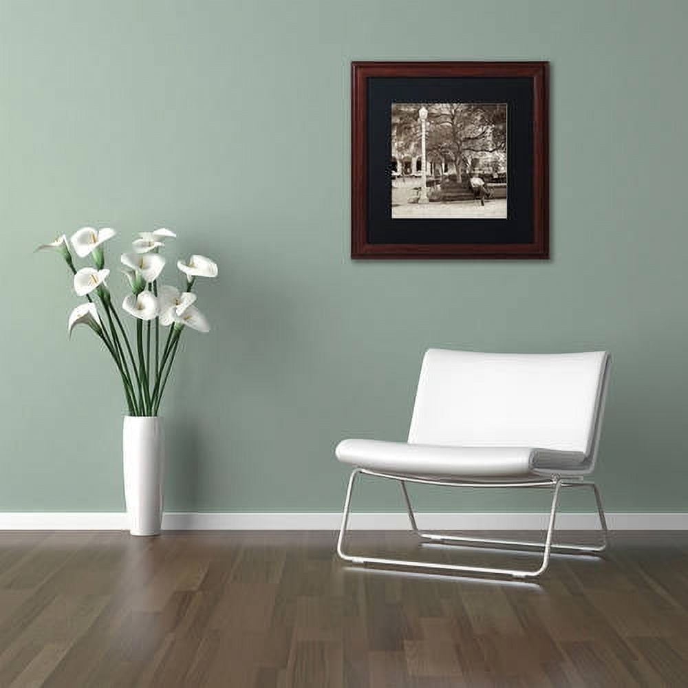 Trademark Fine Art "Faro I" Canvas Art by Alan Blaustein, Black Matte, Wood Frame