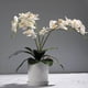 thumbnail image 5 of Hojas de OrquíDeas Phalaenopsis Plantas de Contacto de LáTex de RaíCes Artificiales de Aspecto Real Arreglo de Hojas de Imitación, 12 Piezas, 5 of 6