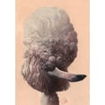 thumbnail image 2 of Fluharty, Thomas 11x14 White Modern Wood Framed Museum Art Print Titled - Poodle, 2 of 4