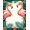 Pink Green, Pattern 16, variant on ODIKA 8'x10' Washable Area Rug Non-Shedding, Easy Care, Door Welcome Pcs Boho Plaid Layering Border Motif Hawaiian Frame for King Size Bedroom Under Bed, Master Suite