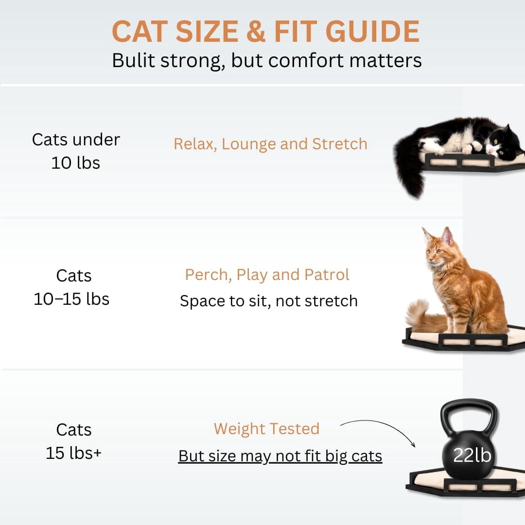 Cat Wall Shelves - Safe And Sturdy Furniture Stylish Wood Corner Shelf With 3 Steps For Cats Up To 15lbs Cushioned Perch Stairs Climbing Playing Black