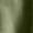 Army Green-1, variant on Women's Shirts, Women’s Mini-Ribbed Cotton Tank Tops, Women’s Sleeveless T-Shirts, Women’s Tanks