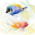 thumbnail image 3 of Loreth, Lanie 12x12 Black Modern Framed Museum Art Print Titled - Tropical Fish Square I, 3 of 5