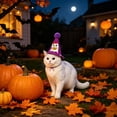 thumbnail image 6 of Aoznliie Dog Hat, Funny Adjustable Halloween Hat for Party Apparel, 4x4 inch Lightweight Pet Party Hat for Halloween Photo Props, Purple, 6 of 6