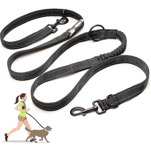 Heytea Hands Free Dog Leash Multifunction Dog Training Leash Reflective Adjustable Nylon Bungee Leash Double Leash For Small Mediumlarge Dogs(l) - L(