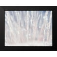 thumbnail image 2 of Frank, Assaf 24x19 Black Modern Framed Museum Art Print Titled - Dried grass, 2 of 5